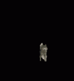 /album/obrazky/a1-gif/